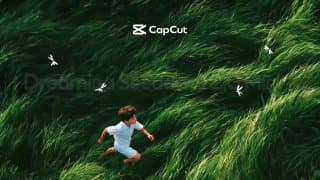 Вышла младшая модель Seedance 2.0 Mini